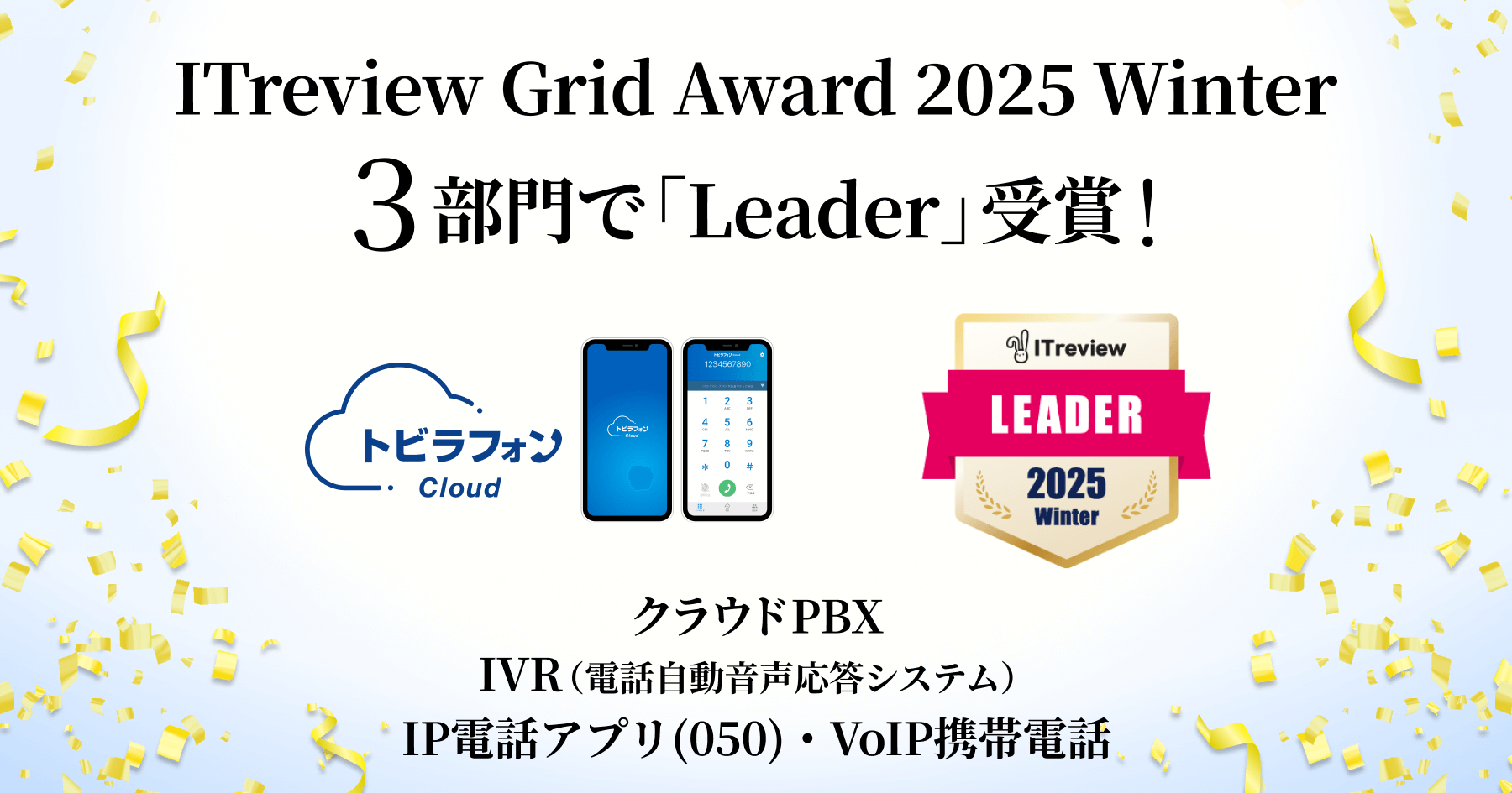 ITreview Grid Award 2025 Winter